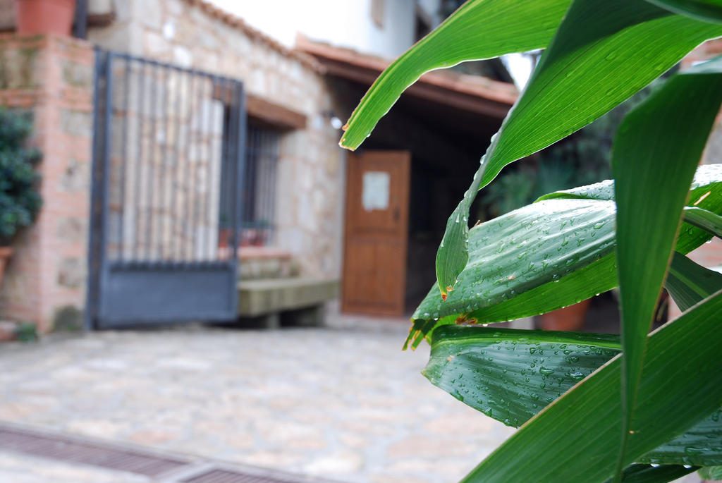 Hostal El Cardenillo มาดริกาล เด ลา วีรา ภายนอก รูปภาพ