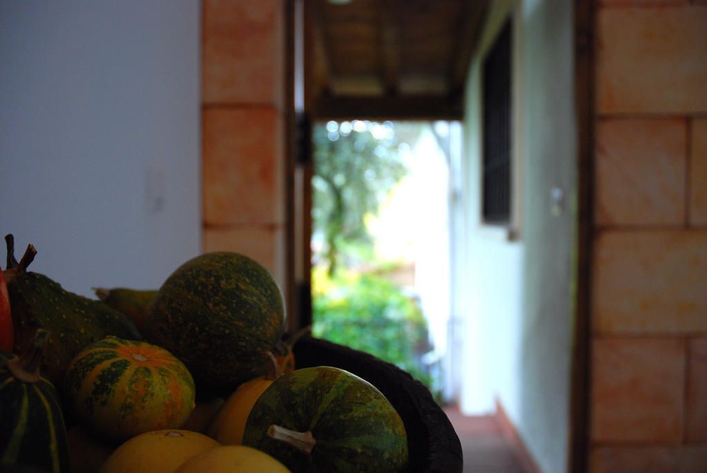 Hostal El Cardenillo มาดริกาล เด ลา วีรา ภายนอก รูปภาพ